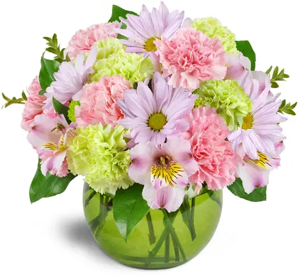 Daisy's Flower Shop, business photo 2