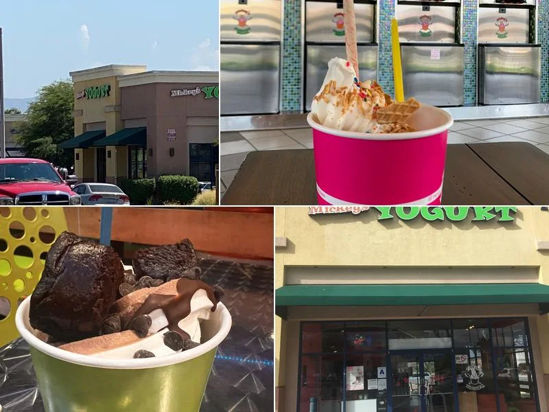 Mickey's Yogurt Hemet, LLC business photo