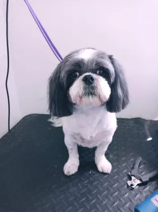Pets R People 2, business photo 3